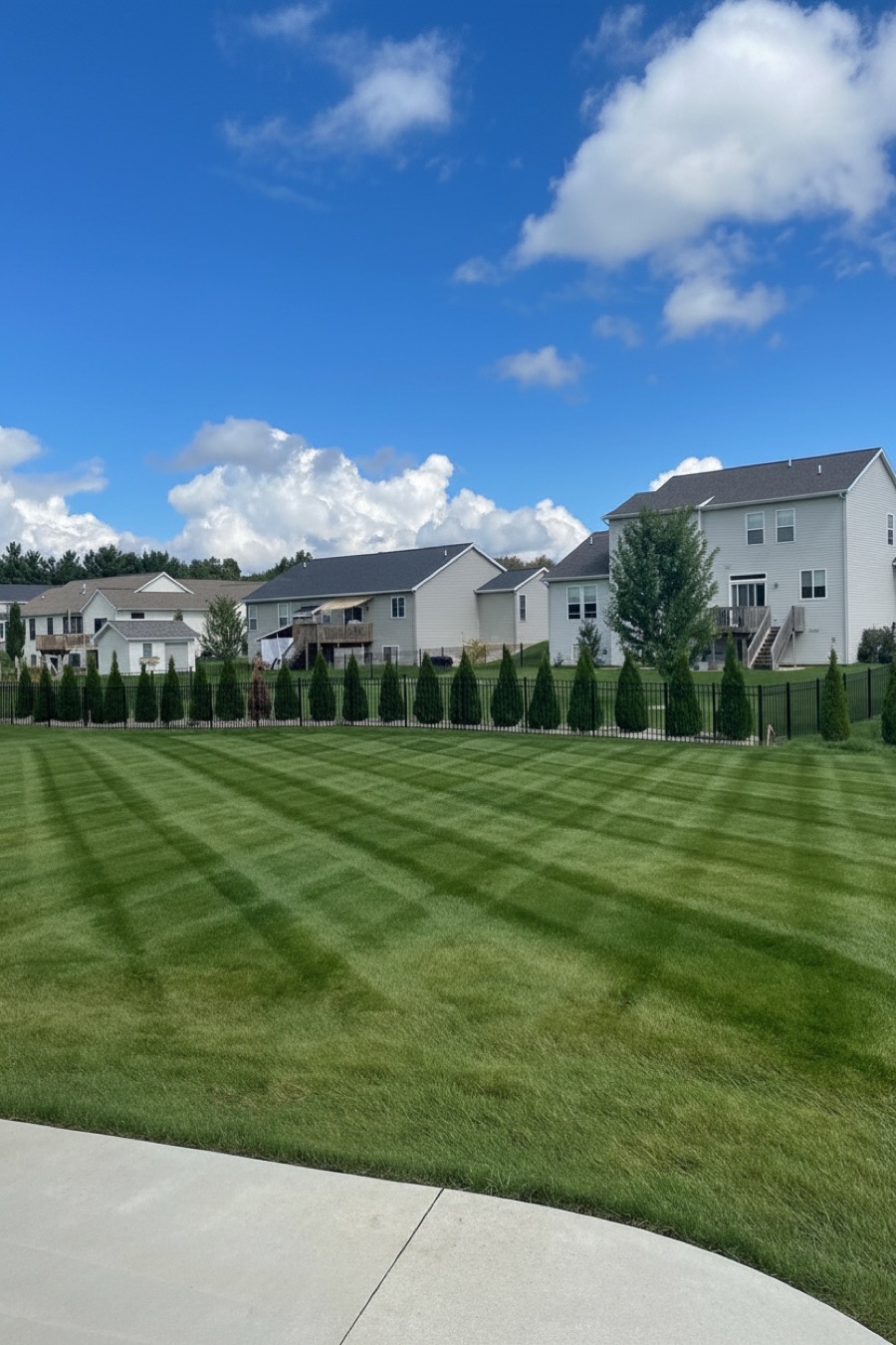 Jenison Lawn Work 1