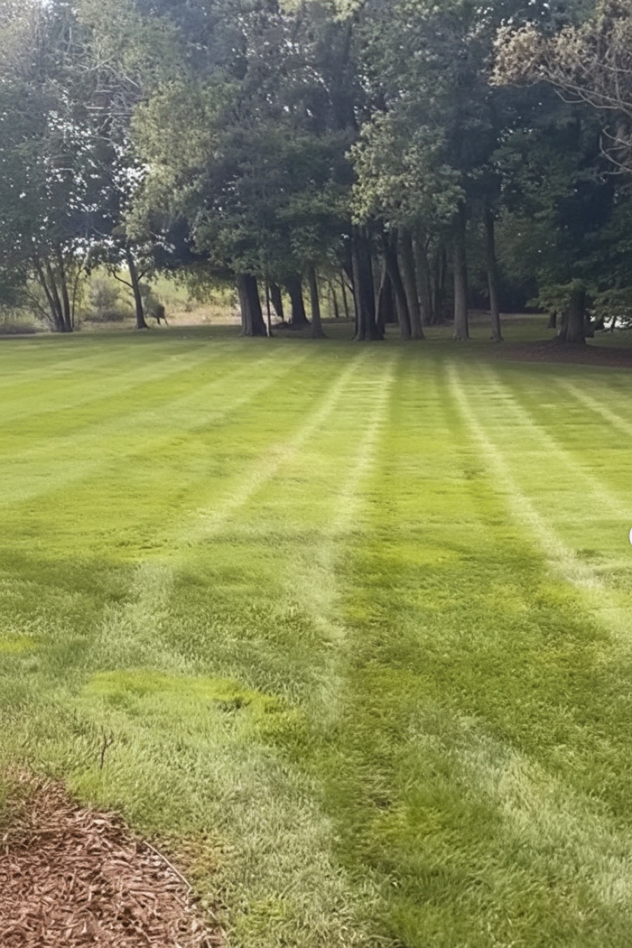 Jenison Lawn Work 4