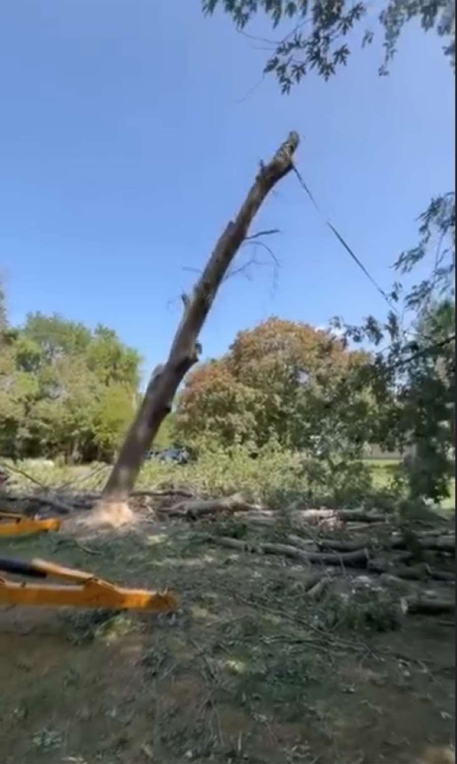 Seasonal Cleanups